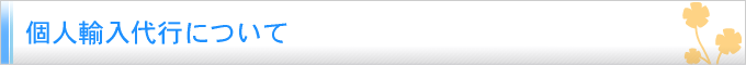 個人輸入代行について