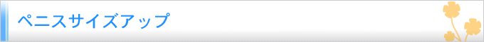ペニスサイズアップ